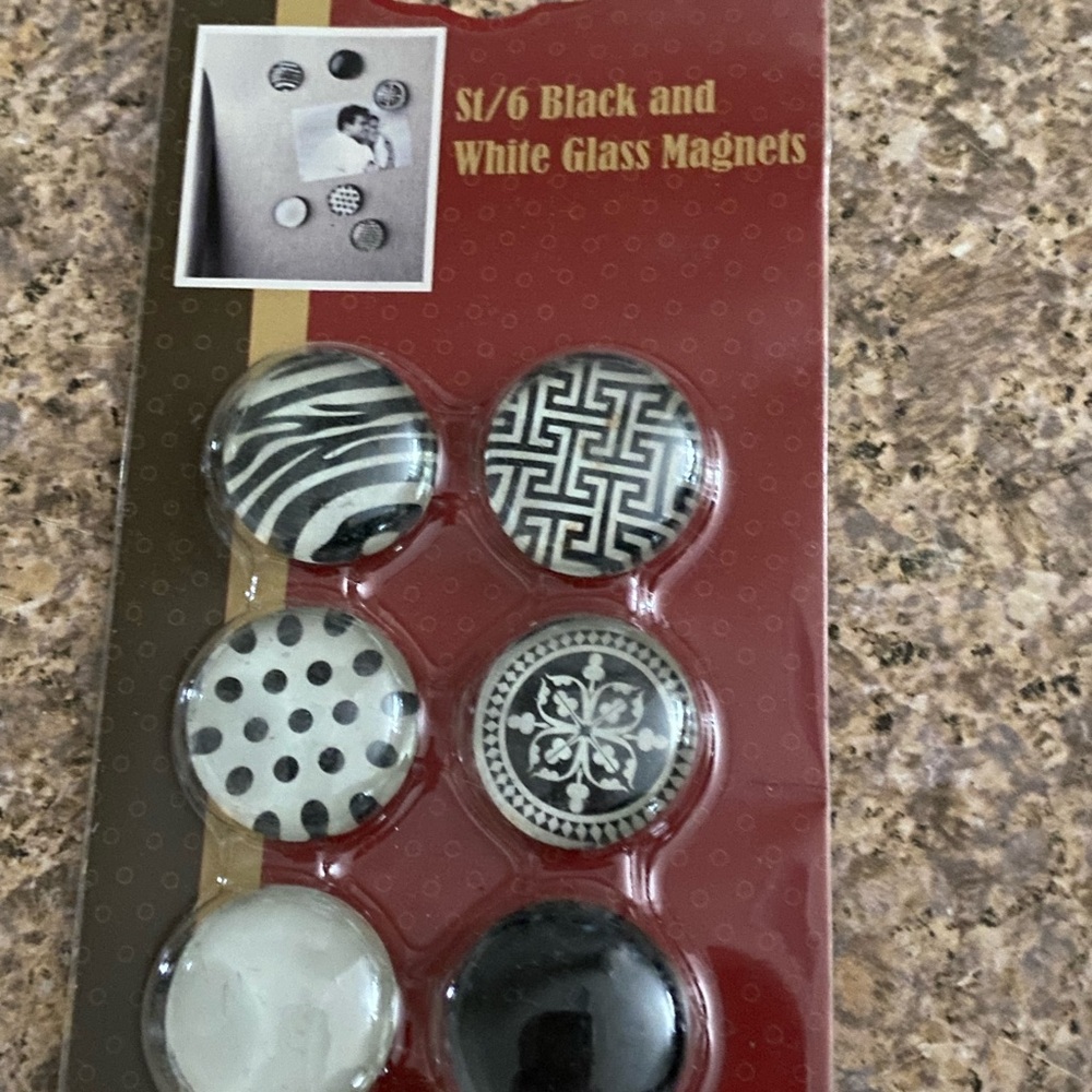Black and White Glass Magnets Set